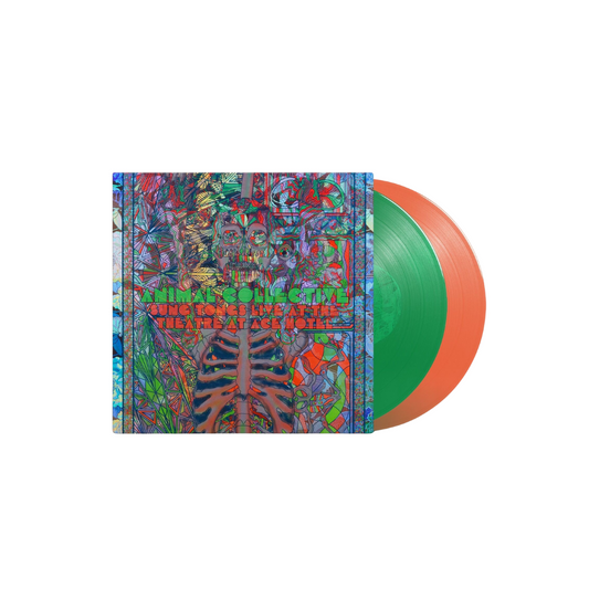 ANIMAL COLLECTIVE - Time Skiffs | LP