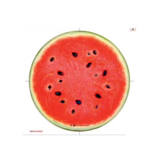 VARIOUS - Dirty Dancing (Original Motion Picture Soundtrack) | LP