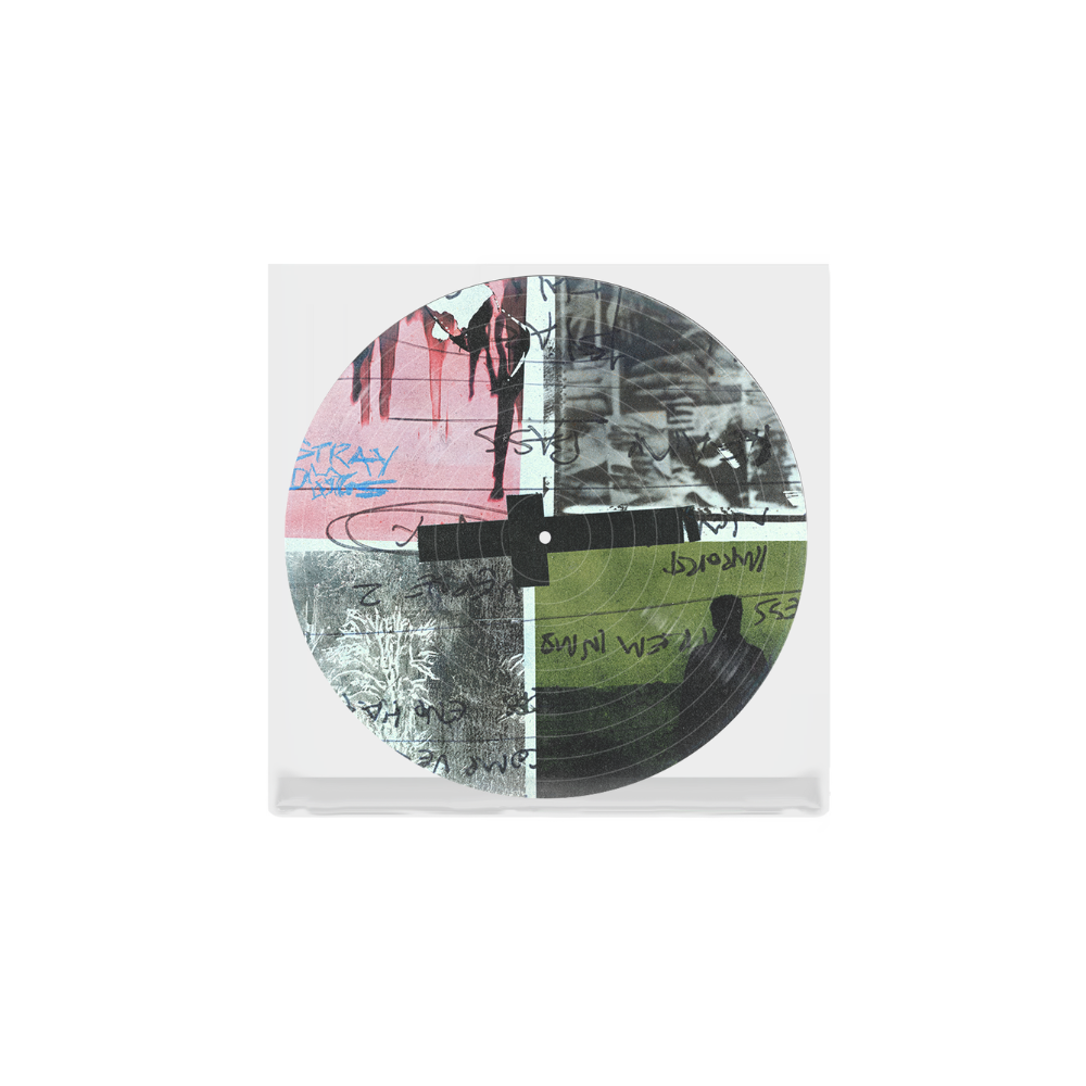 NOTHING BUT THIEVES - Stray Dogs (D2C exclusive picture disc) | LP