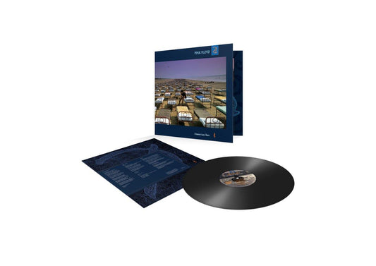 PINK FLOYD - A Momentary Lapse of Reason | LP