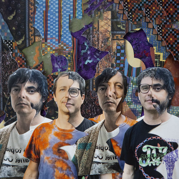 ANIMAL COLLECTIVE