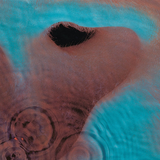 PINK FLOYD - Meddle | LP