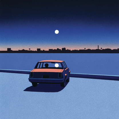REQUIN CHAGRIN - Bye Bye Baby | LP