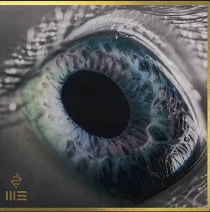 ARCADE FIRE - WE (Bleu Marbré) Sony Music Store Exclusive | LP