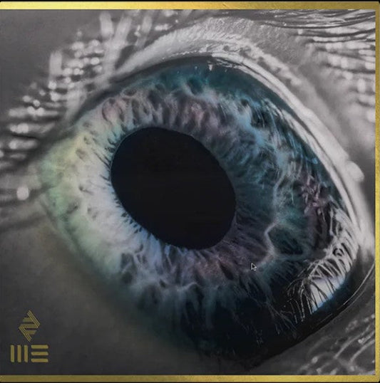 ARCADE FIRE - WE (Bleu Marbré) Sony Music Store Exclusive | LP