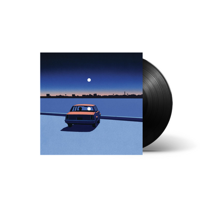 REQUIN CHAGRIN - Bye Bye Baby | LP