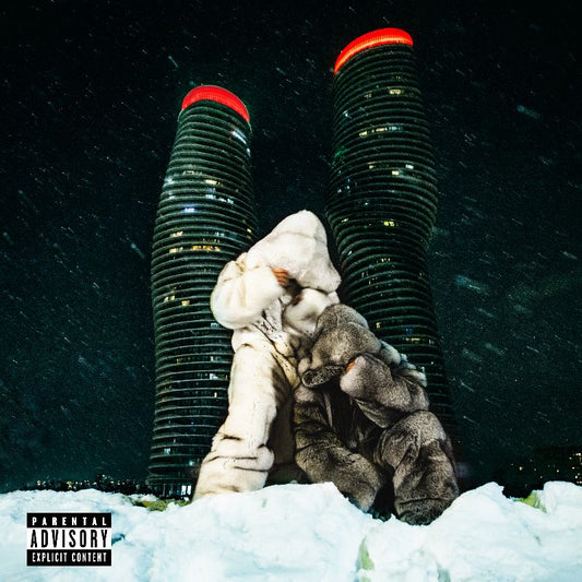 PARTYNEXTDOOR x DRAKE - $ome $exy $ongs 4 U | 2LP