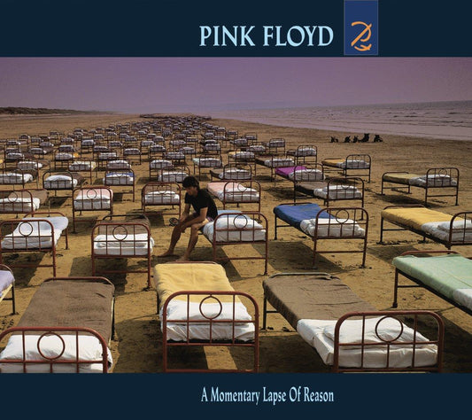PINK FLOYD - A Momentary Lapse of Reason | LP
