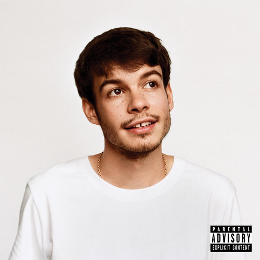 REX ORANGE COUNTY - Pony | LP